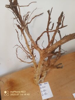 Bonsai kořeny do aquaria / Terraria - 2