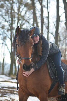 kobyla ČT/hucul - 2