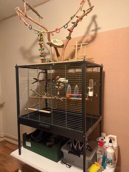 Klec pro papoušky - 2