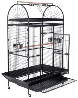 Papoušek Aratinga – Arnošt - 2