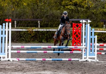Pony do sportu - 2