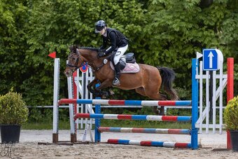 Pony do sportu - 2