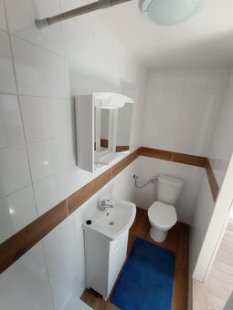 BEZ PROVIZE RK. Pronajmu atelier 1kk se zahrádkou Praha 10 - 2