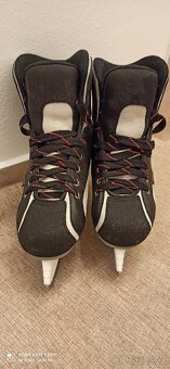 Hokejové brusle JACKSON  (vel.42) - 2