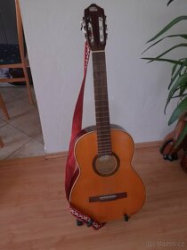 Kytary a mandolina - 2