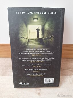 Dívka ve vlaku - Paula Hawkins - 2