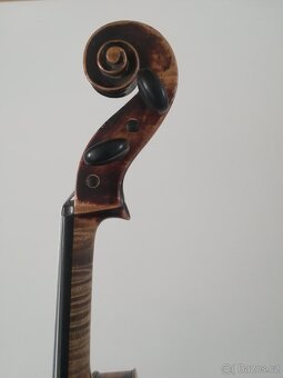 Viola - 2