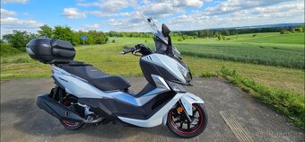 Sym Cruisym 300 Top stav. - 2