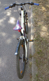 Scott Contessa 24'' - 2