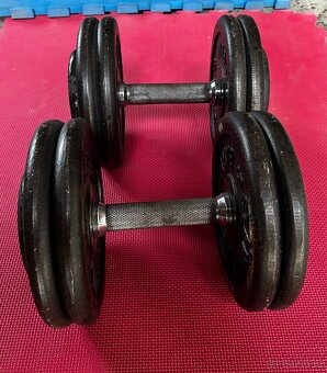 Profi činky 2x22,5kg - 2