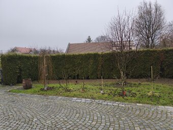 pronajmu čast domu - 2