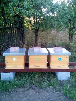 Vyzimovaná včelstva - 2