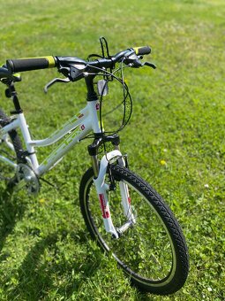 Dětské kolo Leader Fox SPIDER 24" - 2