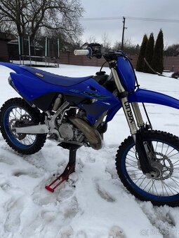 Yamaha YZ 250 2024 - 2