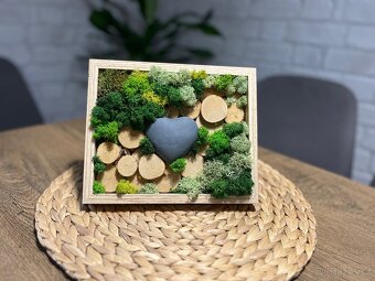 Mechový obrázek - 2