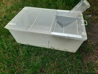 Boxi na myši - 2