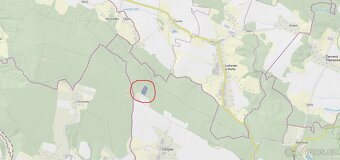 Prodám lesní pozemek v k.ú. Chlum u Hořic - 2
