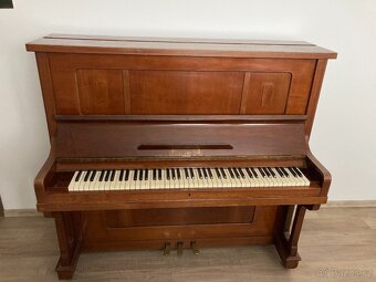 Piano Dalibor - 2