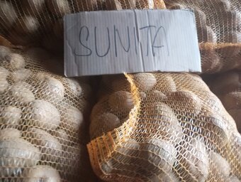 Brambory konzumní - 2