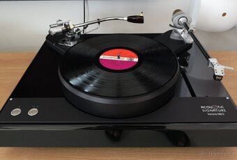 gramofon  ACOUSTIC SIGNATURE - VERONA - MOŽNOST ODPOČTU DPH - 2