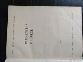 Plemenitba drůbeže J. Podhradsky - 2