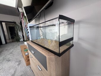 Terarium - 2