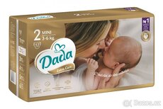 Pleny DADA - 2