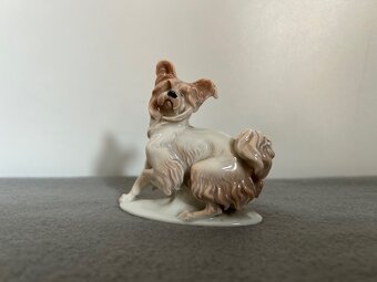 Porcelánová soška psa ROSENTHAL. - 2