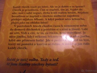 květa fialová štěstí tady a ted - pavlína brzaková - 2