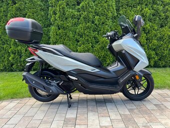 Honda Forza 125 MY24 - 2