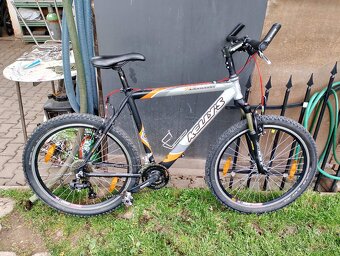 Kellys Salamander - 2