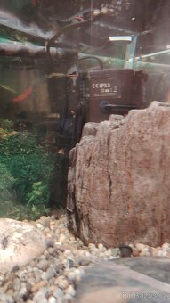 Prodám set akvarii - 2