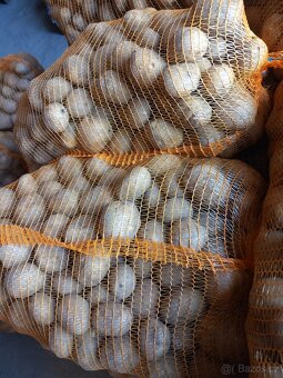 Brambory Adéla z vysočiny - 2