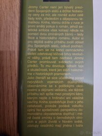 Sršní hnízdo - 2