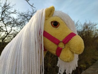 Hobby horse - 2