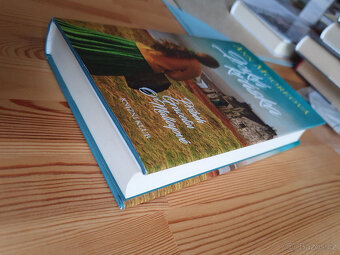 Příběh Gracelin O´Malley 1. - Irská kráska - Ann Mooreová - 2