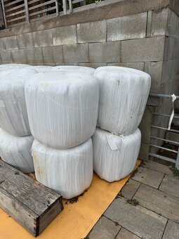 Prodám letošní seno - kulaté balíky velké i malé - 2