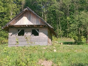 Pronájem pozemků. - 2