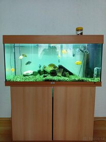 Akvárium Juwel Rio 180 litrů + stolek + ryby - rezervace - 2
