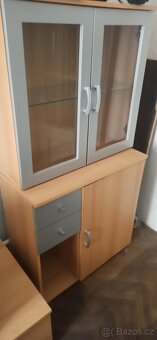 Obyvaci stenu v zachovalem stavu - 2