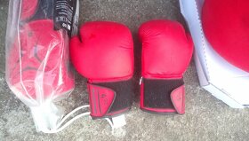 Pytel a rukavice na box - 2