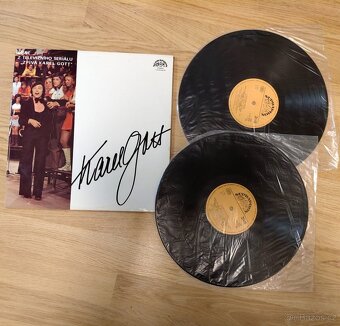 Vinylové desky - Karel Gott - 2