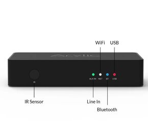 Arylic S10 WiFi Music Streamer - 2
