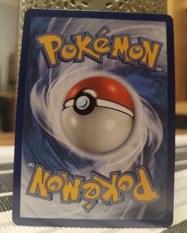 Pokémon Greninja&Zoroark - 2