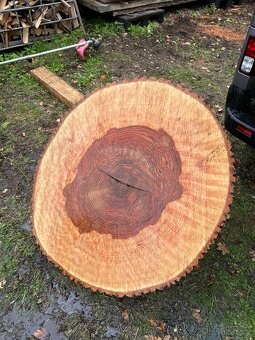 Jasanové koláče - 2