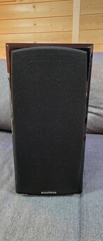 Dynavoice Definition DM-6 - 2