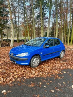 Peugeot 206 (2005) - 2