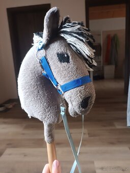 Hobby Horse - 2