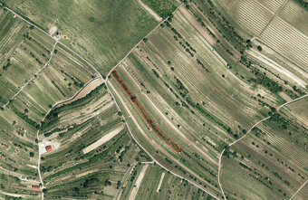 Prodej bývalého vinohradu v Mutěnicích 1828 m2 - 2