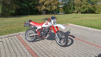 Honda XL 600 R PD03E - 2